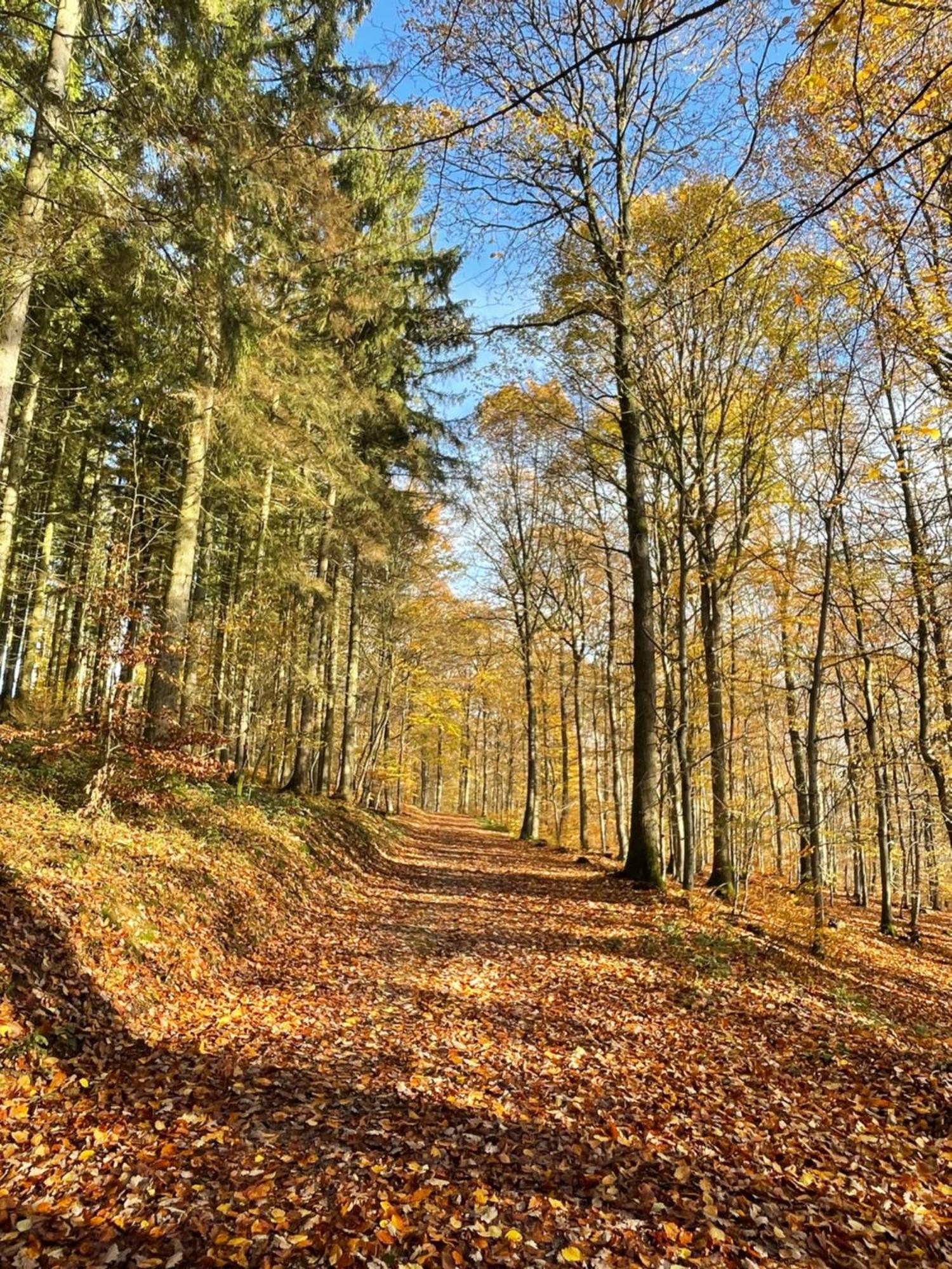Gaestehaus Ute Mueller Wimbach Dış mekan fotoğraf